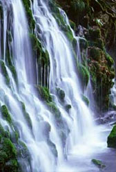 meditatia in natura flacara violet