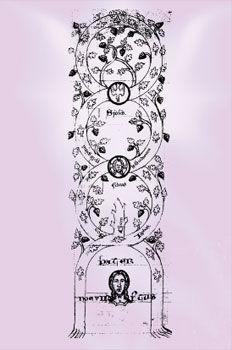 flacara violet puterea gandului